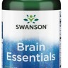 Brain Essentials